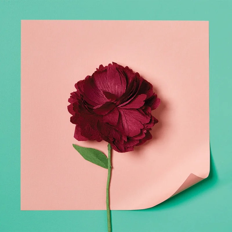 Paper Flower DIY Kit